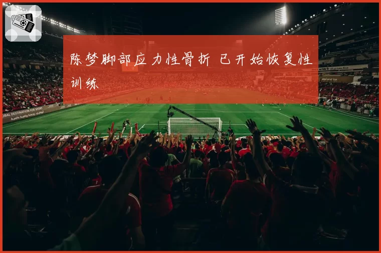 陈梦脚部应力性骨折 已开始恢复性训练