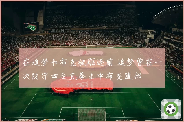 在追梦和布克被驱逐前 追梦曾在一次防守回合直拳击中布克腹部