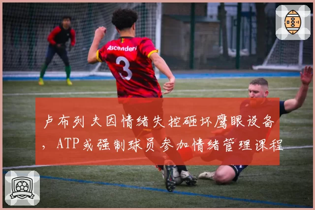 卢布列夫因情绪失控砸坏鹰眼设备，ATP或强制球员参加情绪管理课程