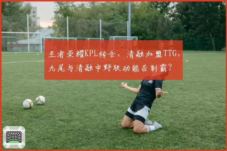 王者荣耀KPL转会，清融加盟TTG，九尾与清融中野联动能否制霸？