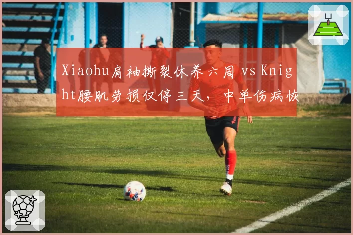 Xiaohu肩袖撕裂休养六周 vs Knight腰肌劳损仅停三天,中单伤病恢复周期反差