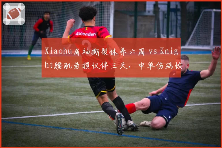 Xiaohu肩袖撕裂休养六周 vs Knight腰肌劳损仅停三天,中单伤病恢复周期反差