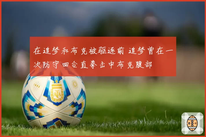 在追梦和布克被驱逐前 追梦曾在一次防守回合直拳击中布克腹部